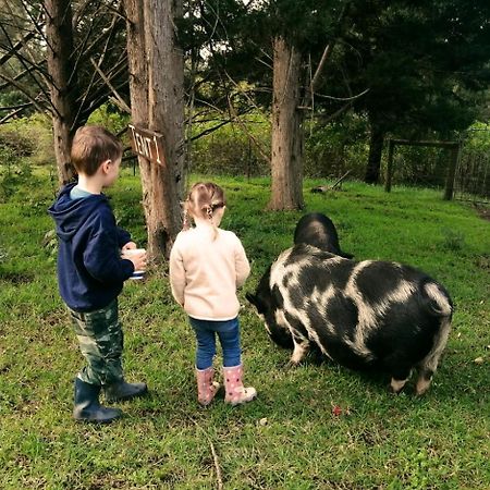 나이스나 Fernhill Guest Farm 빌라 외부 사진