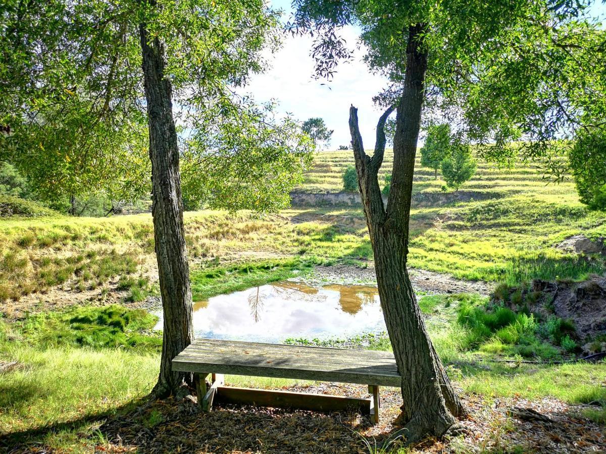 나이스나 Fernhill Guest Farm 빌라 외부 사진