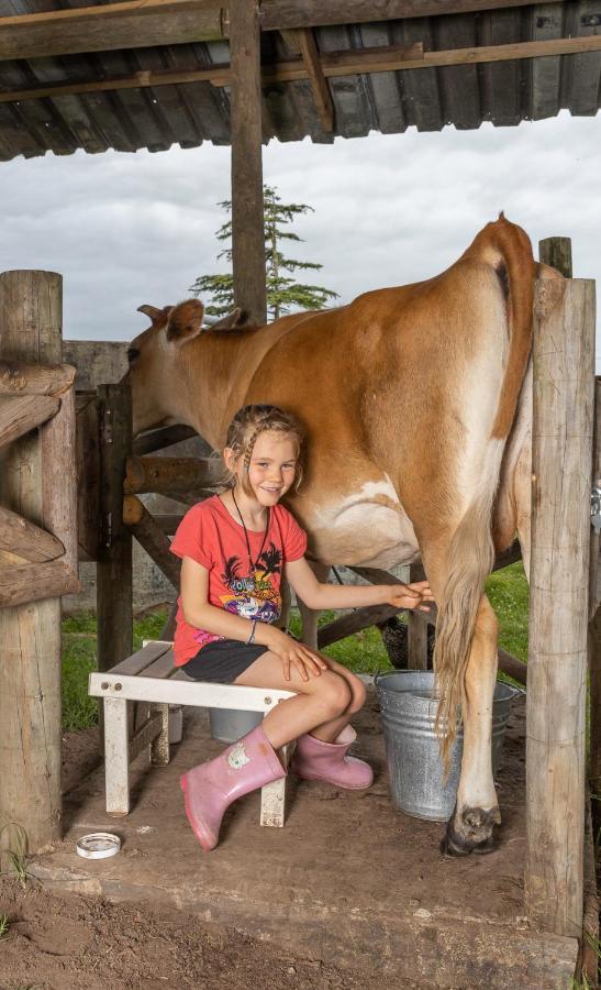 나이스나 Fernhill Guest Farm 빌라 외부 사진