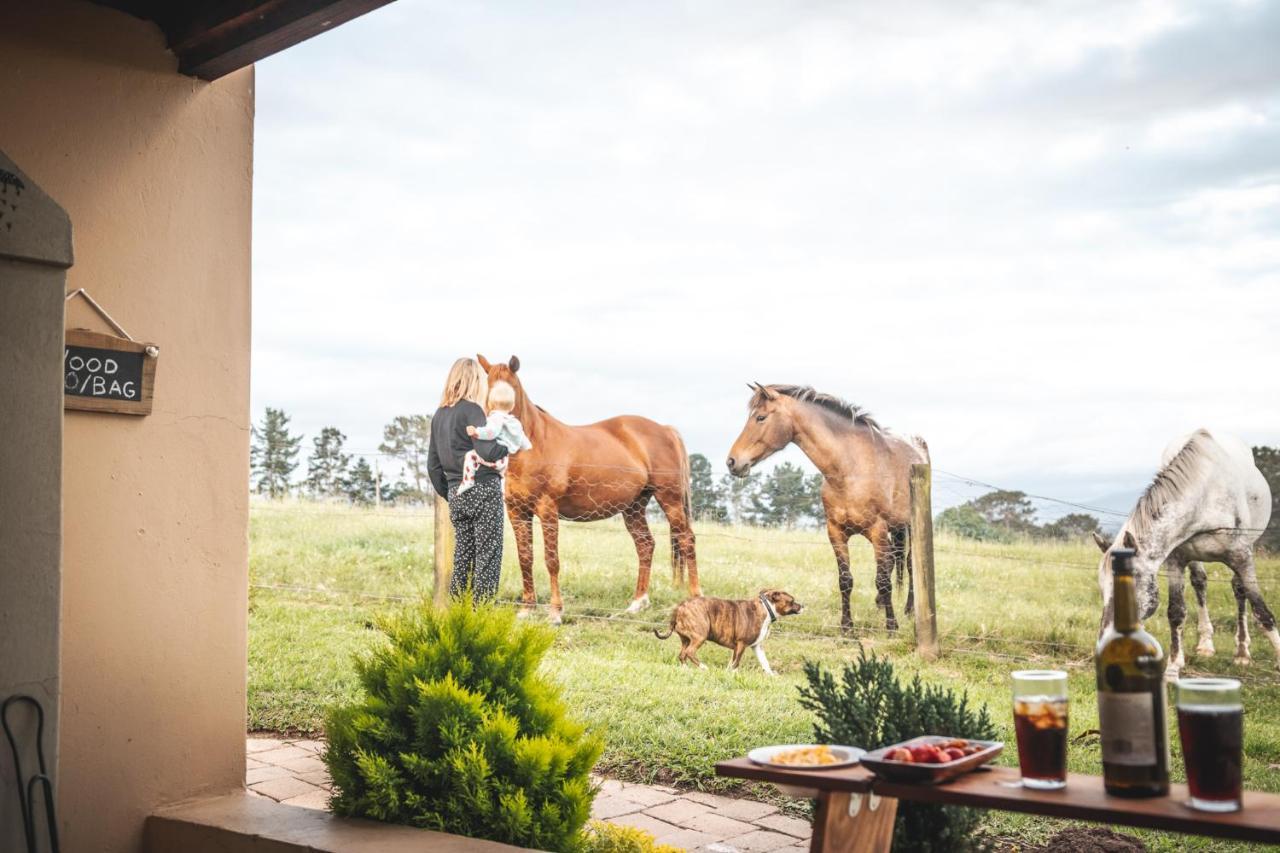 나이스나 Fernhill Guest Farm 빌라 외부 사진