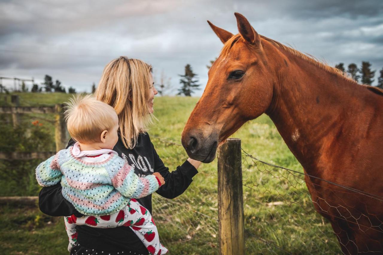 나이스나 Fernhill Guest Farm 빌라 외부 사진