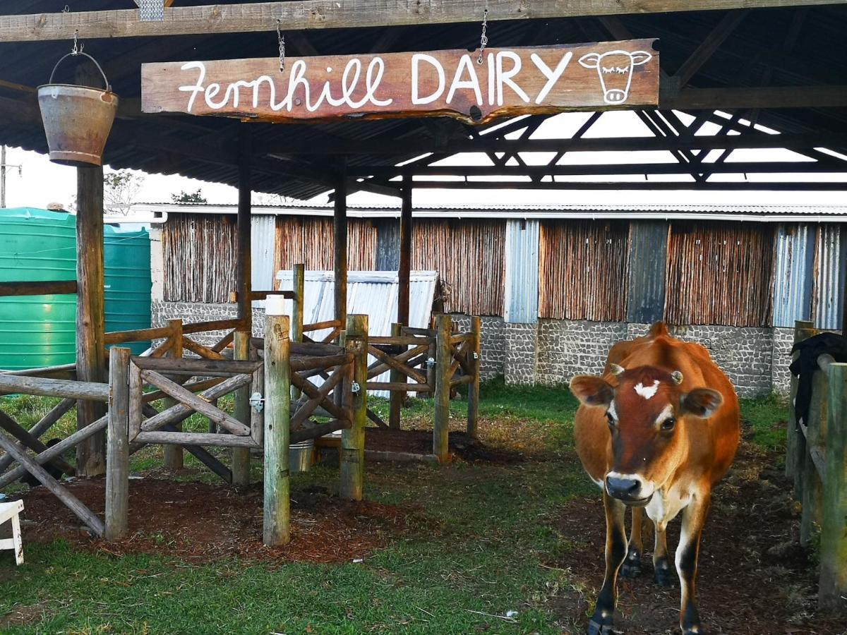 나이스나 Fernhill Guest Farm 빌라 외부 사진