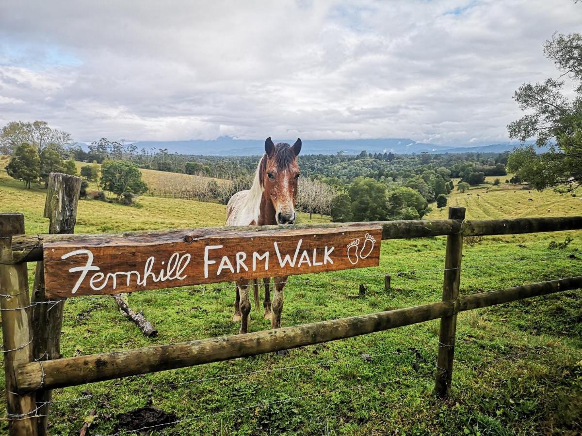 나이스나 Fernhill Guest Farm 빌라 외부 사진