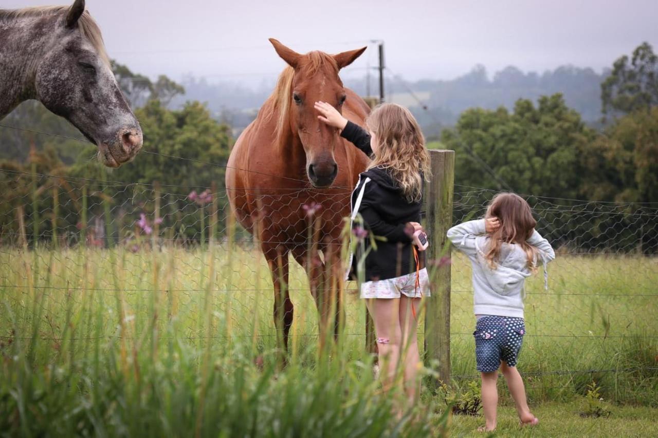 나이스나 Fernhill Guest Farm 빌라 외부 사진