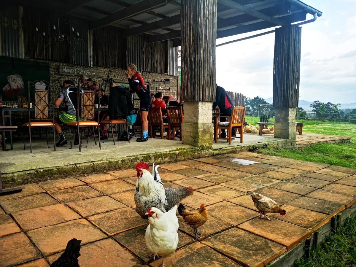 나이스나 Fernhill Guest Farm 빌라 외부 사진