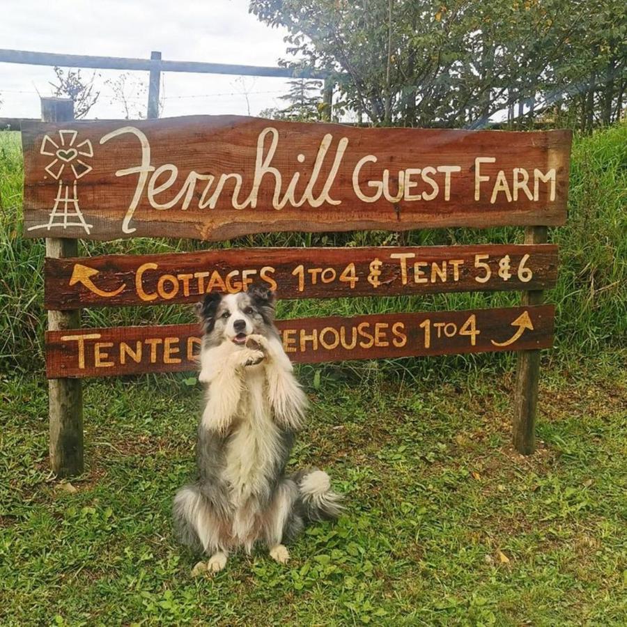 나이스나 Fernhill Guest Farm 빌라 외부 사진