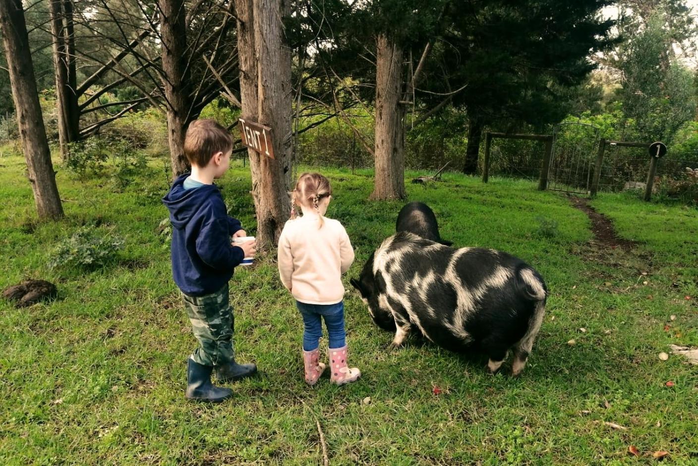 나이스나 Fernhill Guest Farm 빌라 외부 사진